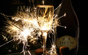 Bonne année 2010