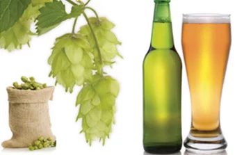 Produit pour Brasser sa bière