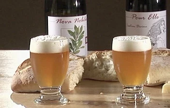 Brassage, Fermentation, Chillage, etc
